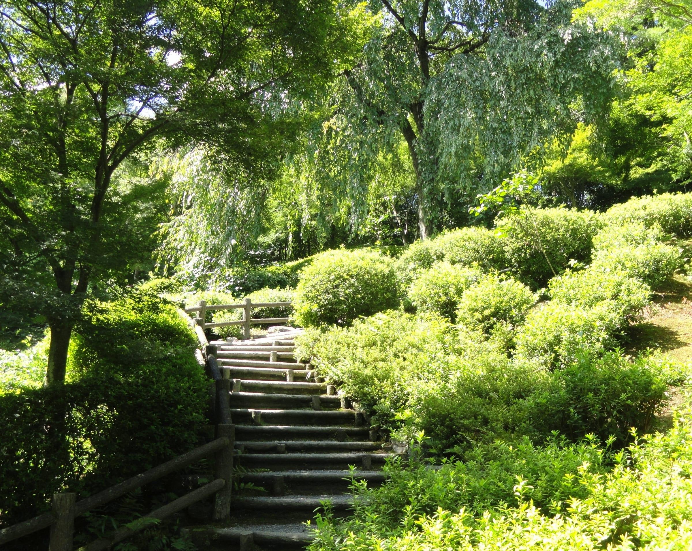 Stone steps through the green garden of Tenryu-ji in Kyoto